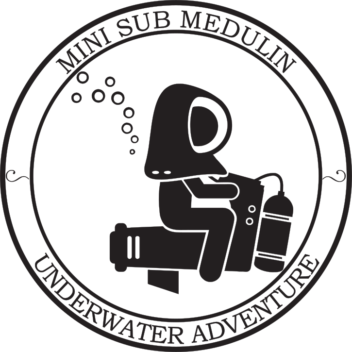 Mini sub logo medulin